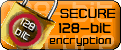 Secure 128 Bit Encryption